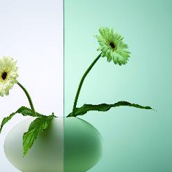 parsol-stakla-menspred-doo-1 (2)